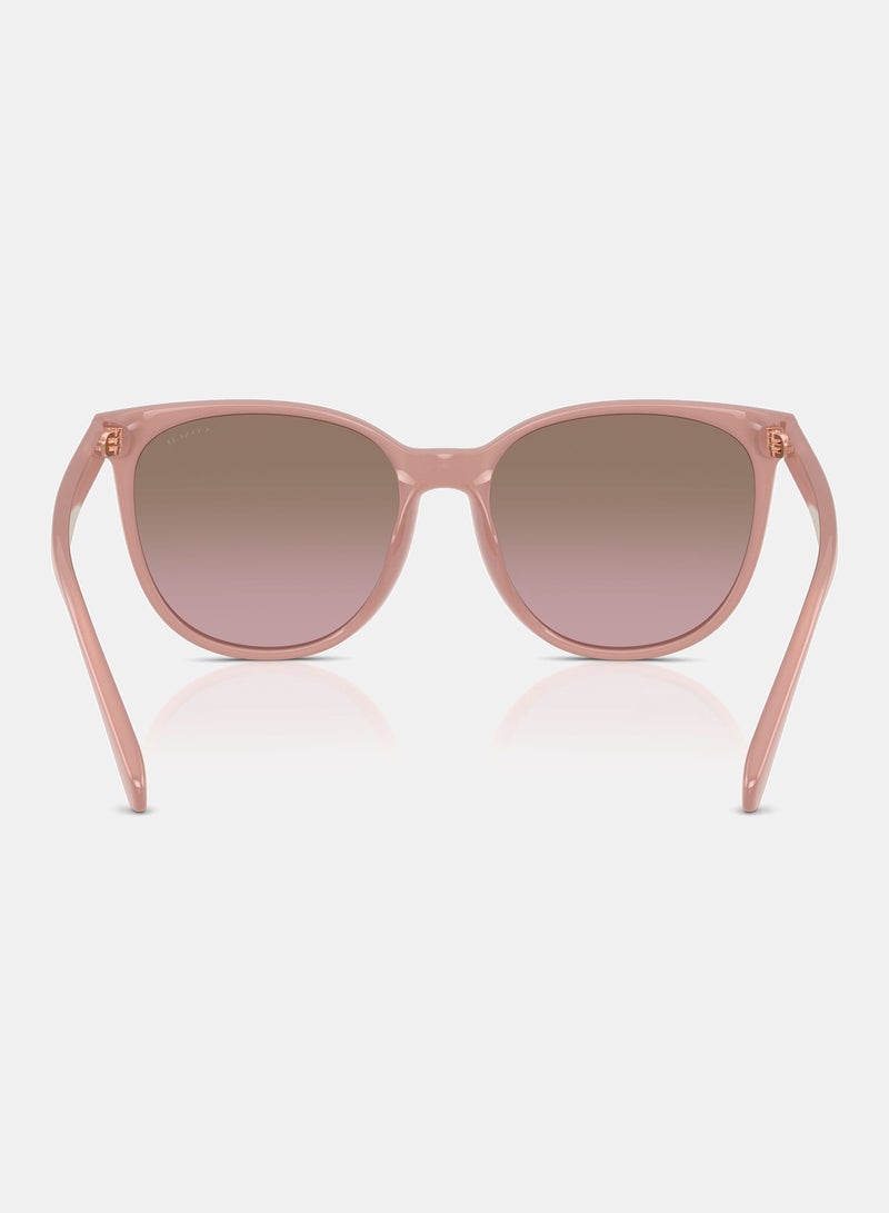 كوتش نظارة شمسية دائرية كاملة الحواف 8414BD 583914 - Image 3